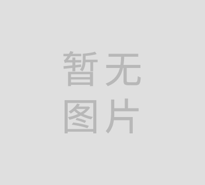 业绩-资质-审计